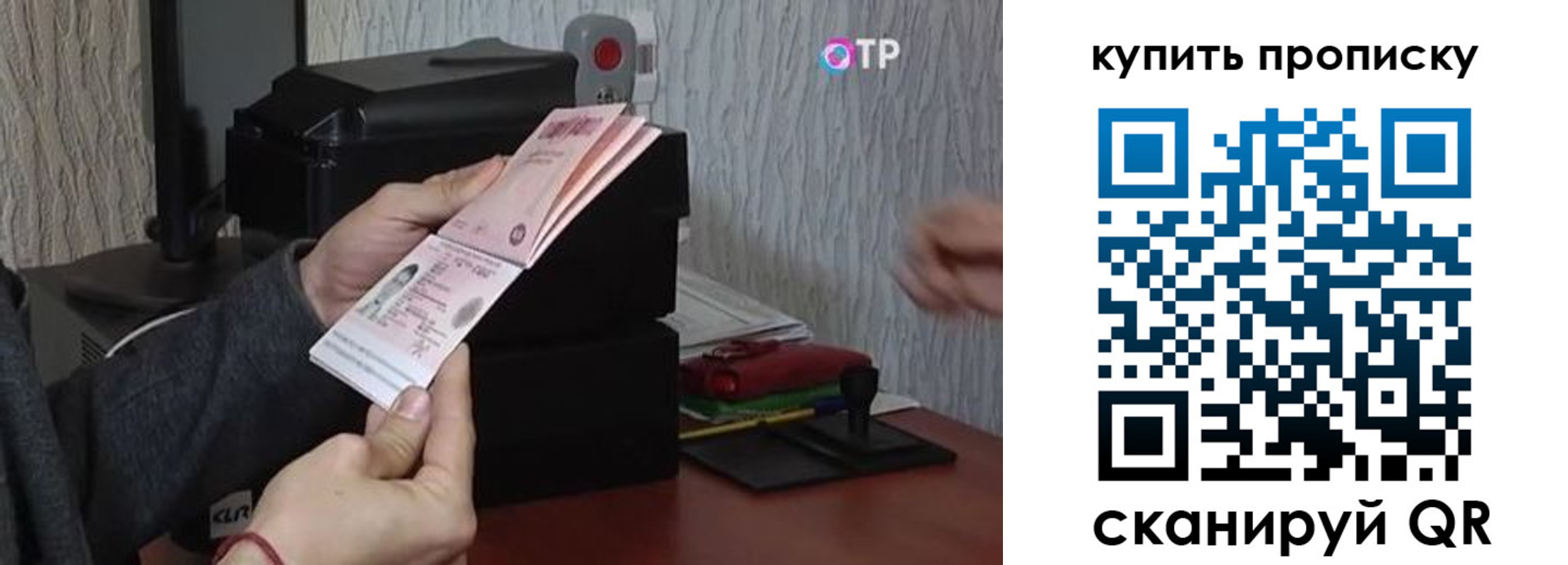 прописка гарантия в Волгограде